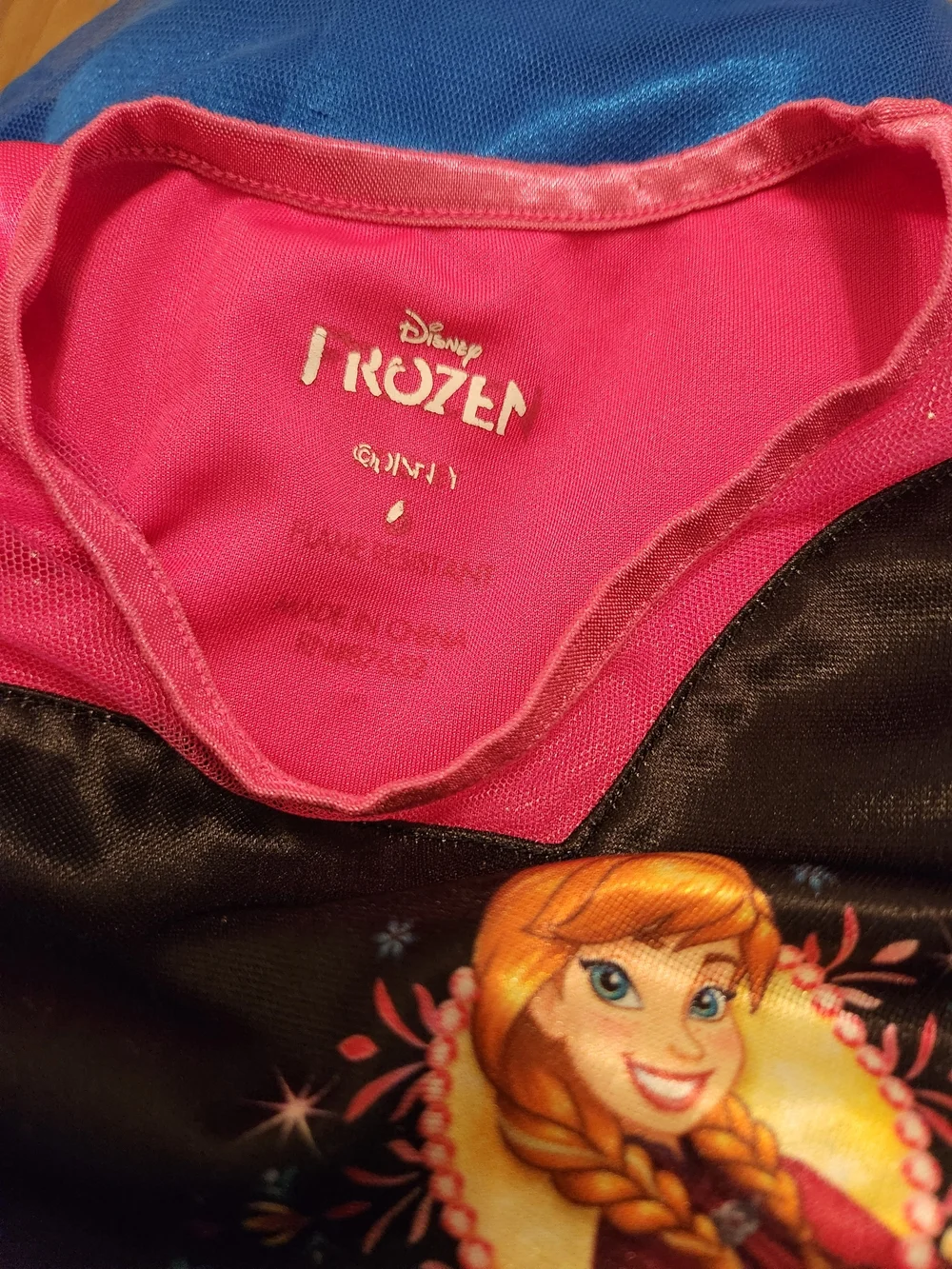 Disney frozen fantasy